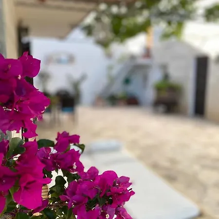 Marijam Apartment Hvar Town